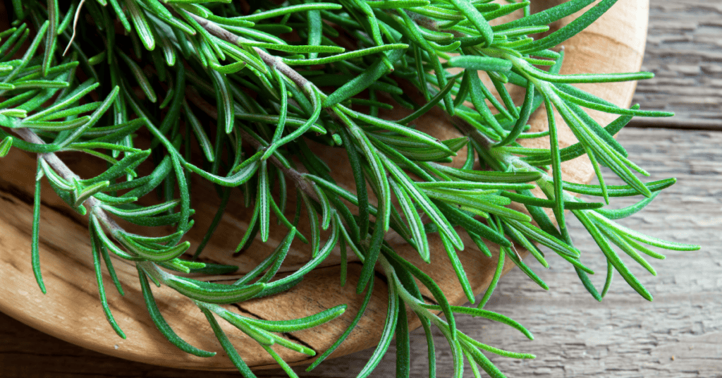 springs of rosemary on wood