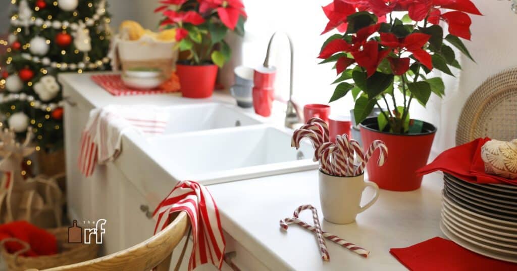 kitchen sink and counter with holiday decor